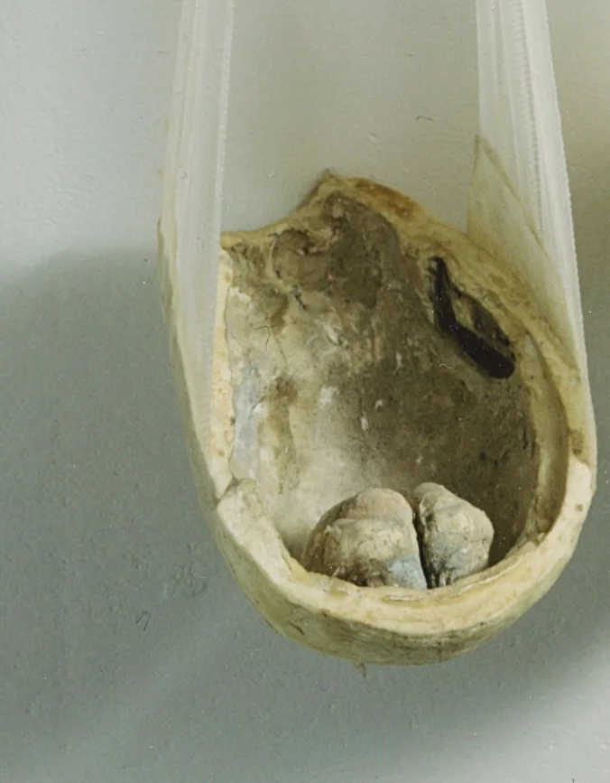 Childrenheads (Wouter Prins)-kopi.jpeg