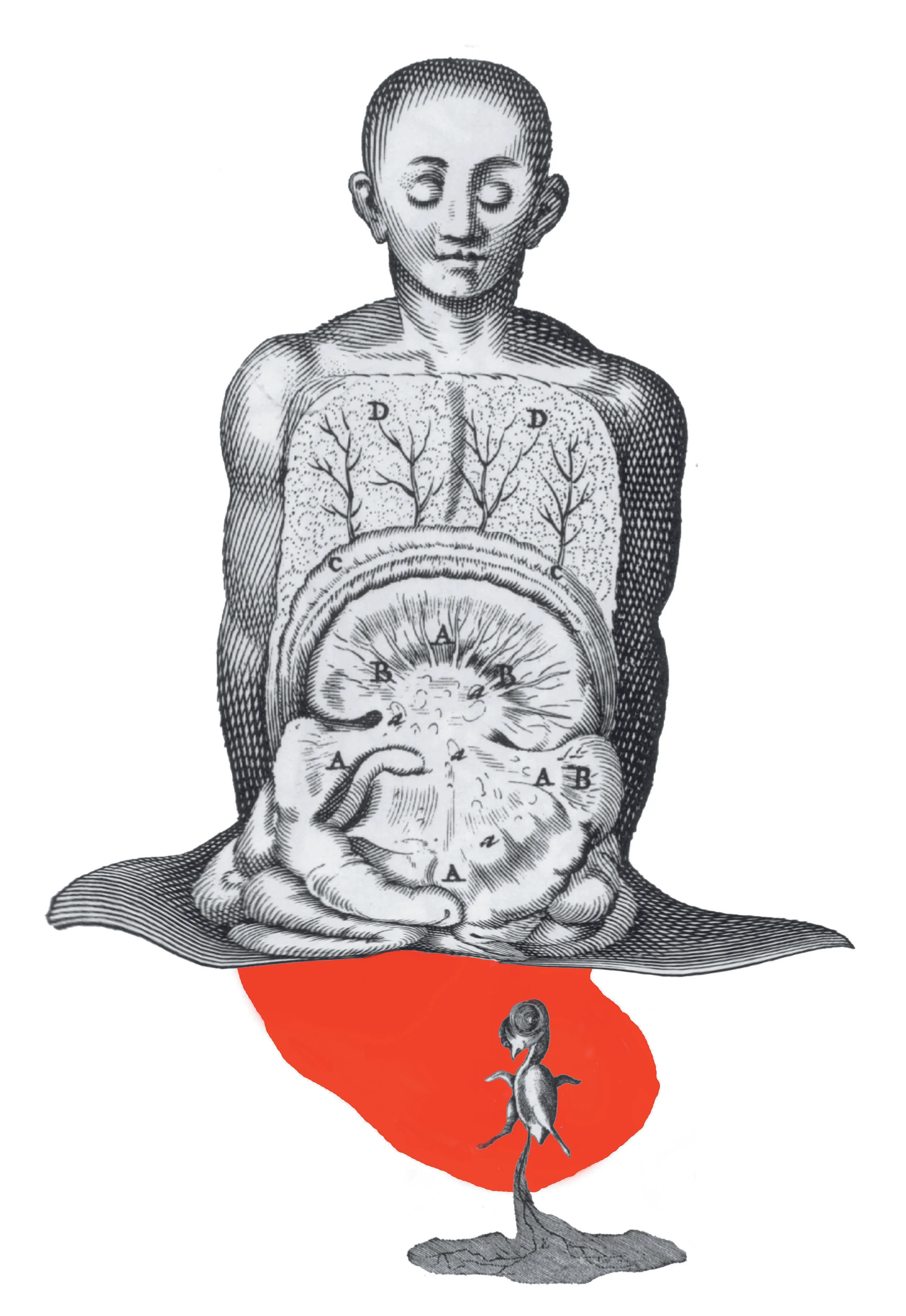 budda2 copy copy.jpg