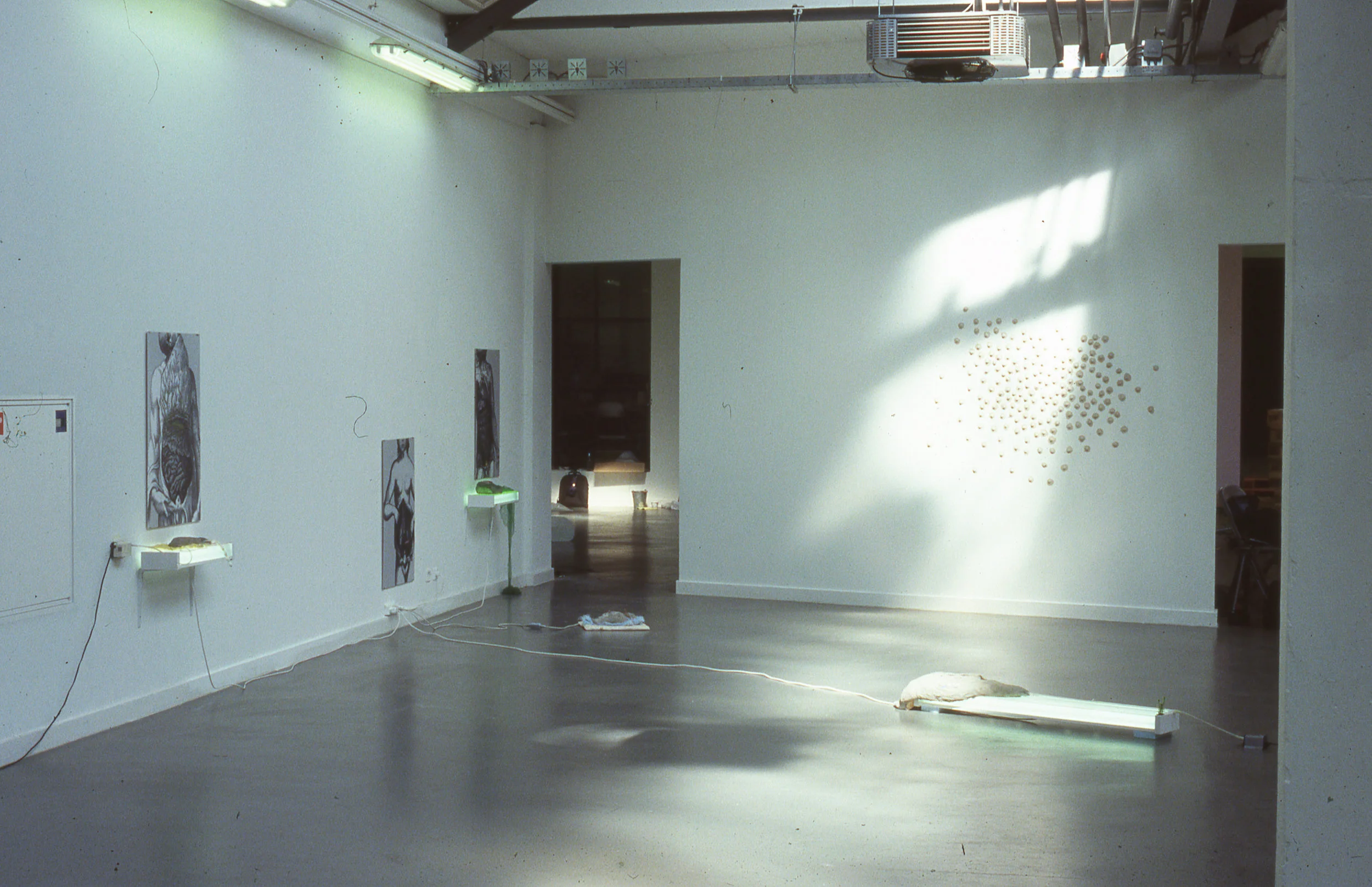 WSSOHWTE030.jpg