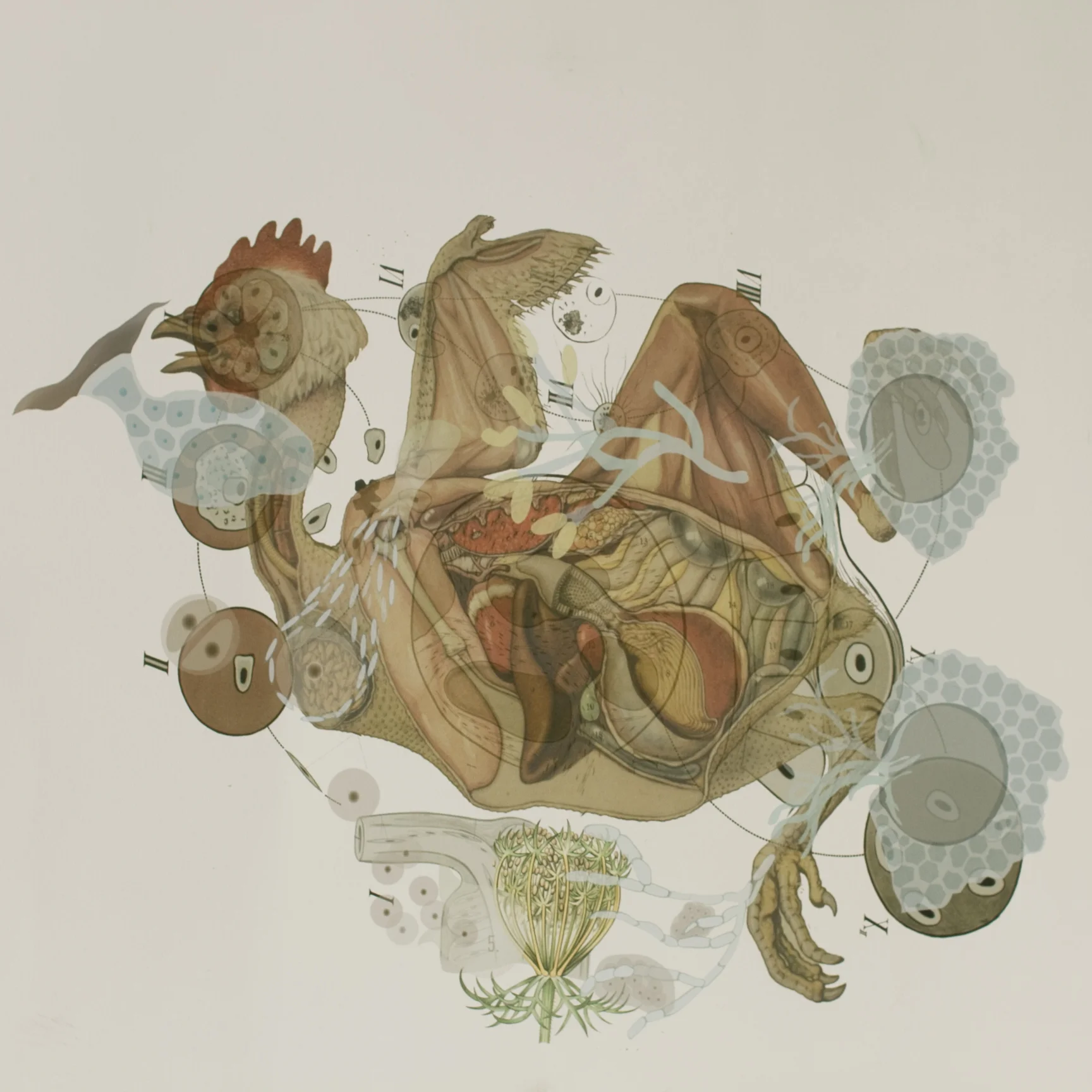 implodert infografikk2 papir.jpg