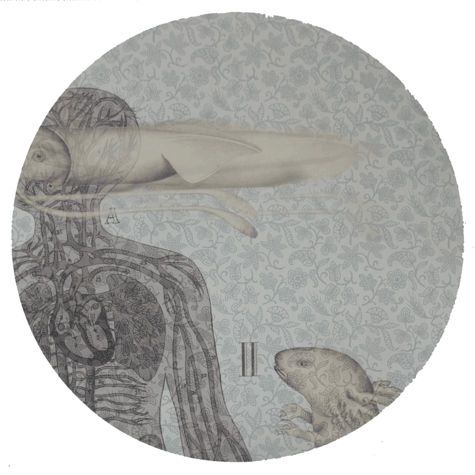 symbiose2_ papir.png