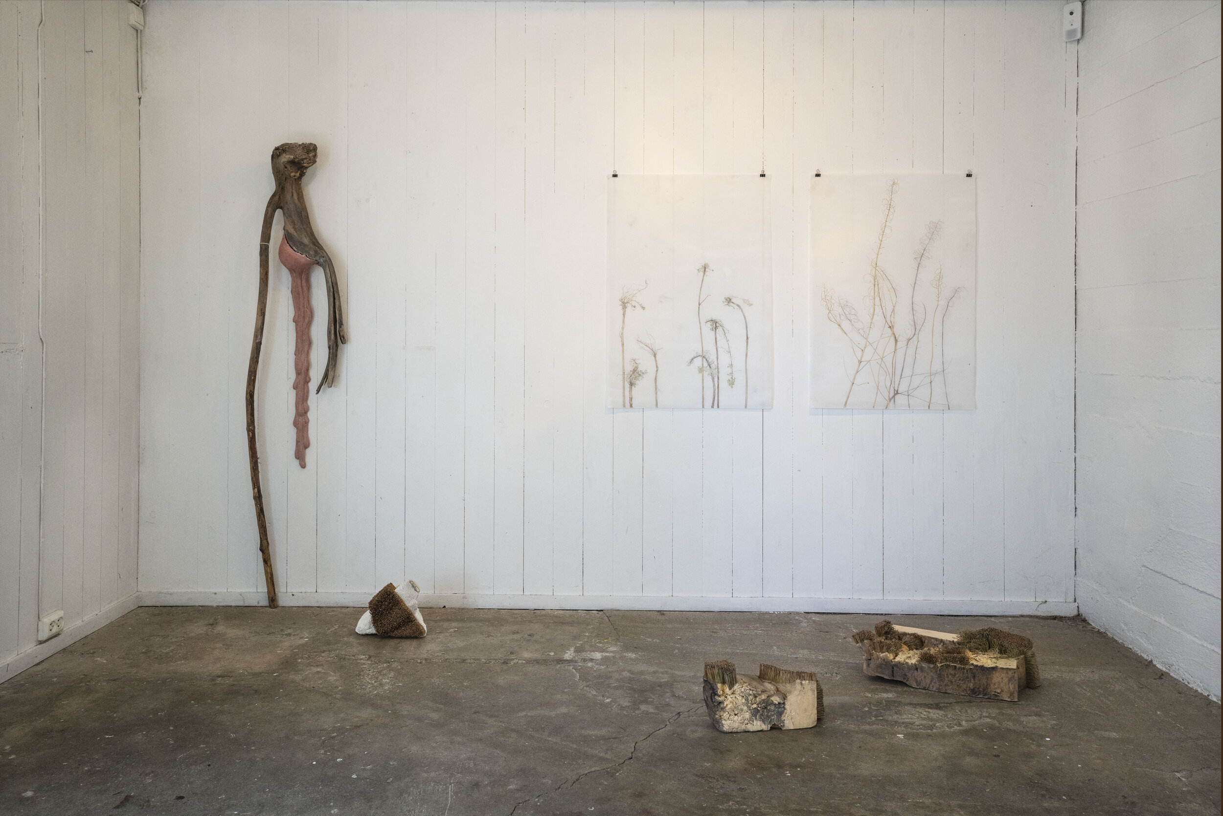 Skogsånden/The woodspirit