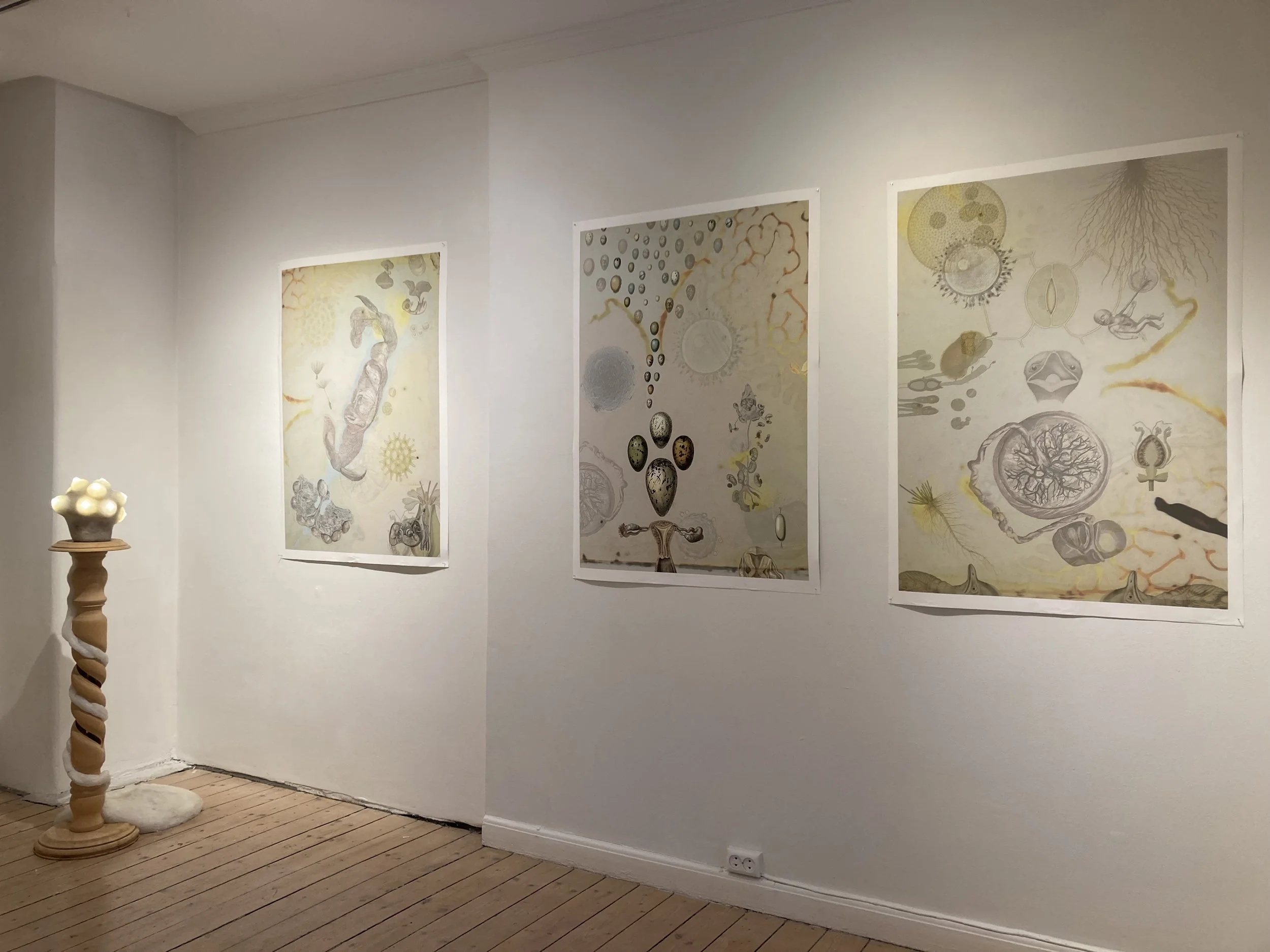 Livgiverne/lifegivers