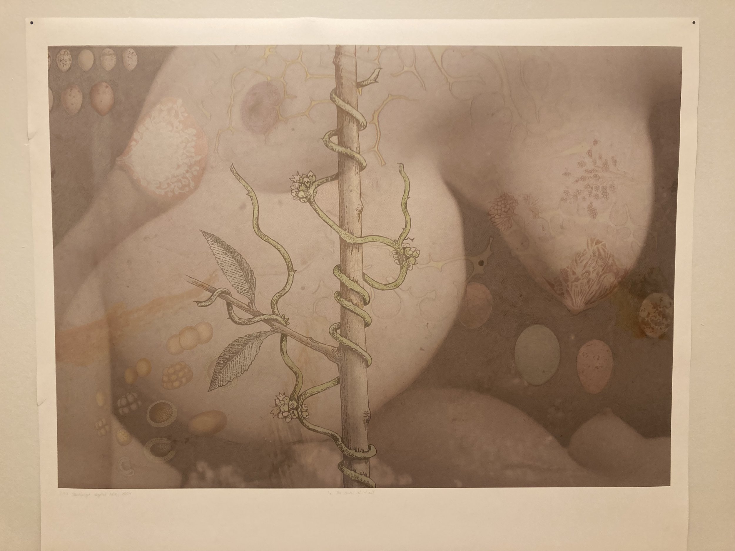 In the centre of it all