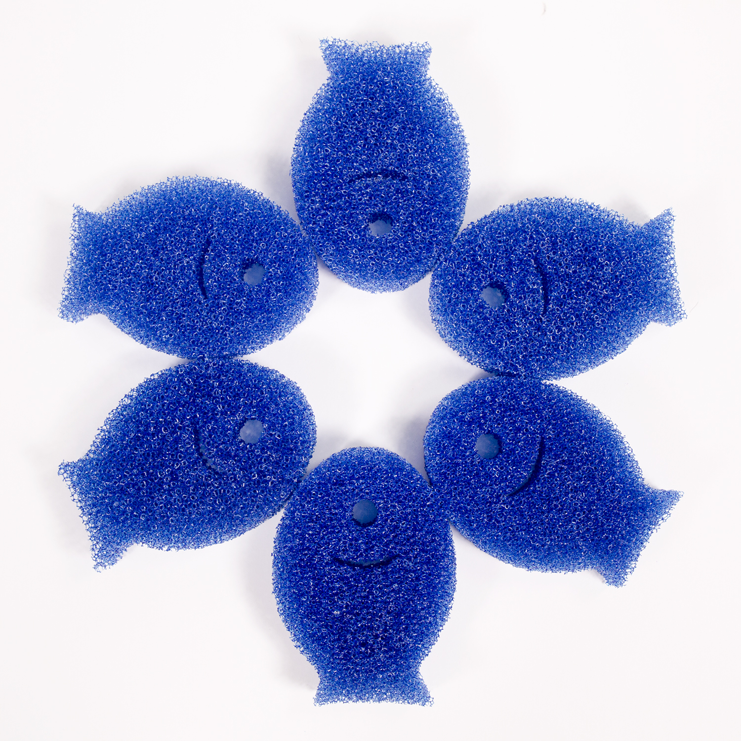 dishfish-scrubber-6-pack-art-shot.jpg