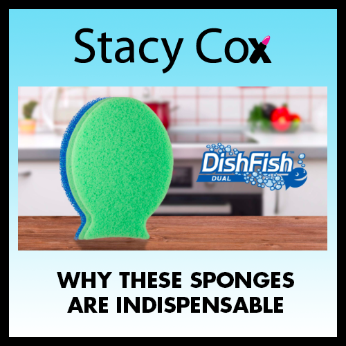 dishfish-stacy-cox.png