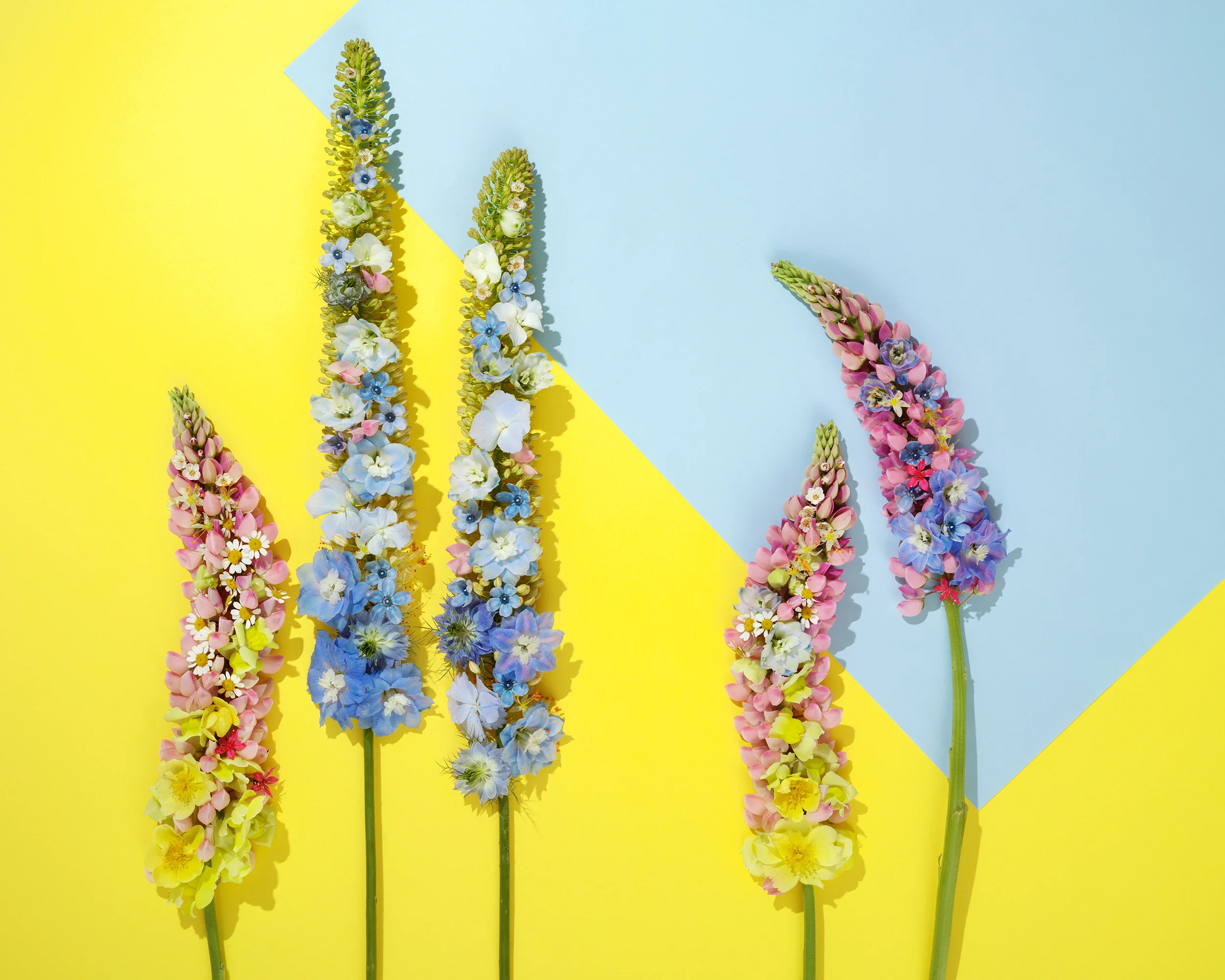 INTERFLORA