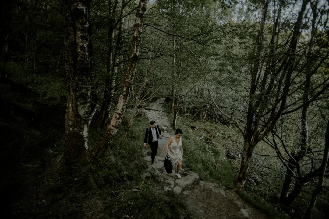 hike up the mountain