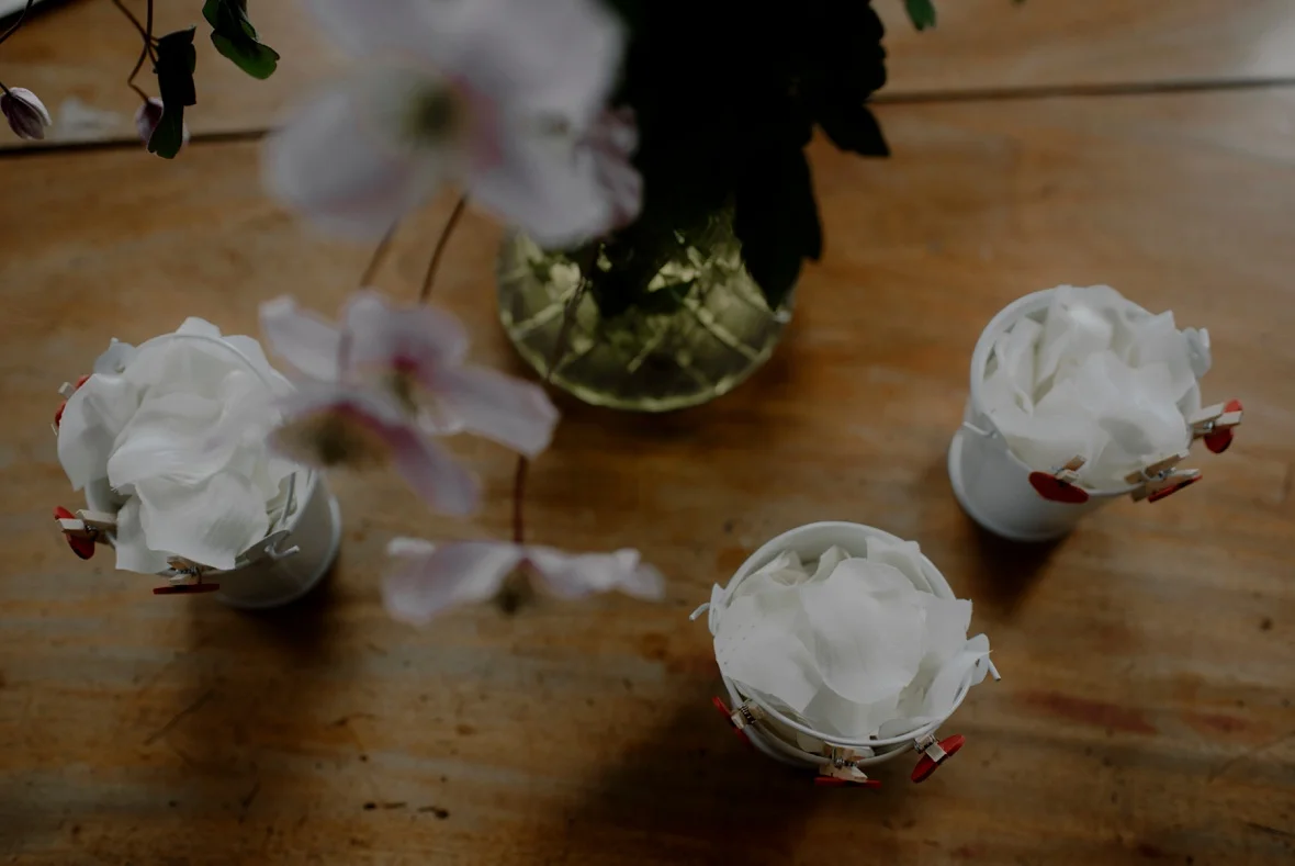 confetti petals
