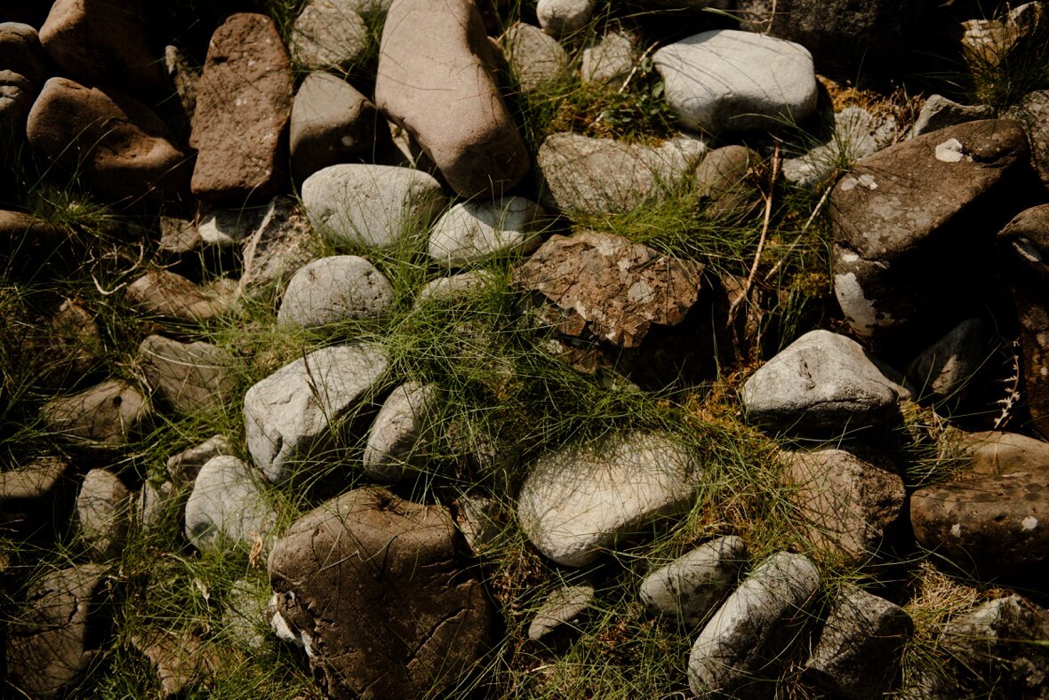 rocks and vegetation Isle of Skye