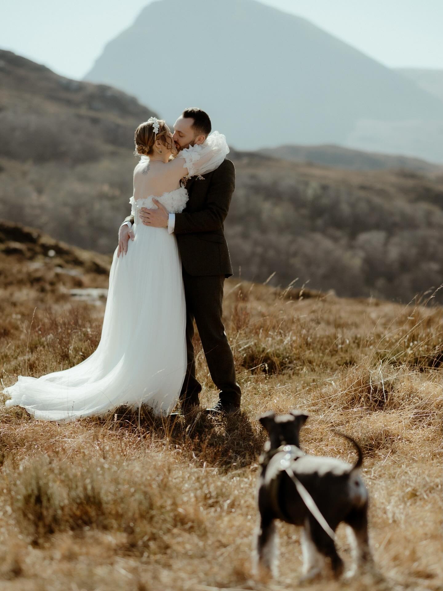 If your guest list includes a four-legged friend&hellip; I&rsquo;m already obsessed 🐕💒 Bonus points if they steal the show 🐾🥰

#dogsatweddings #scotlandelopement #elopementphotographer #scottishelopement #weddingphotographyscotland