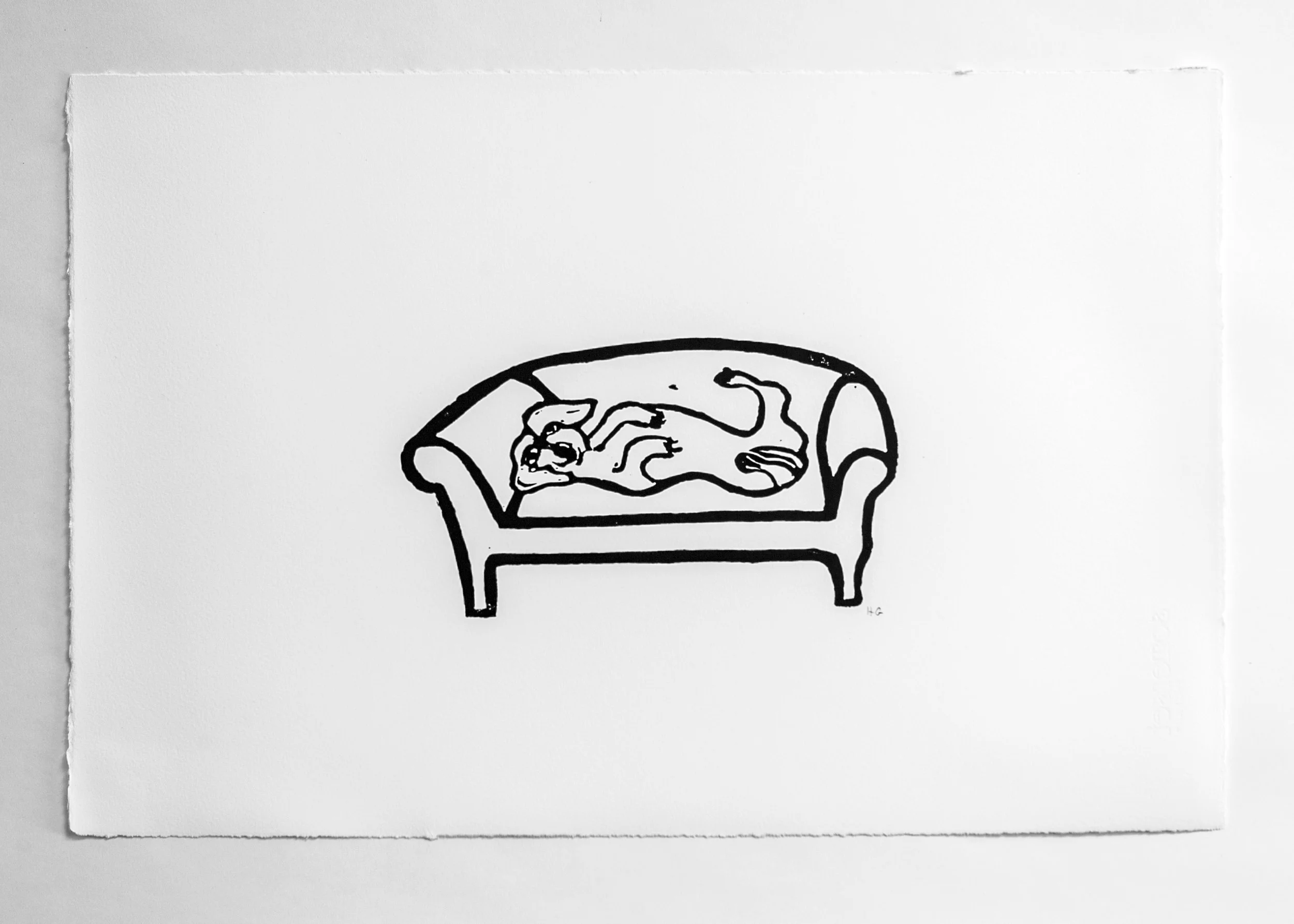 Hugo Guinness Dachshund on Couch