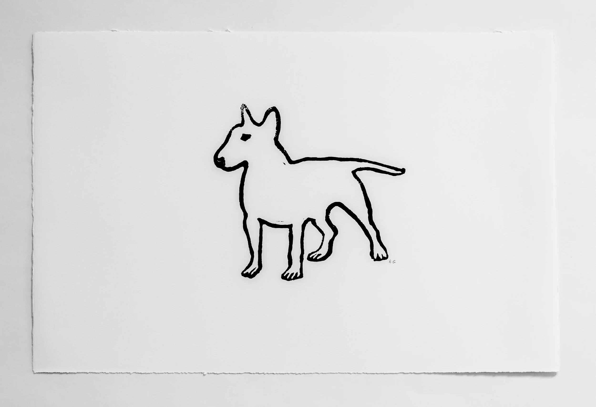 Hugo Guinness Bull Terrier
