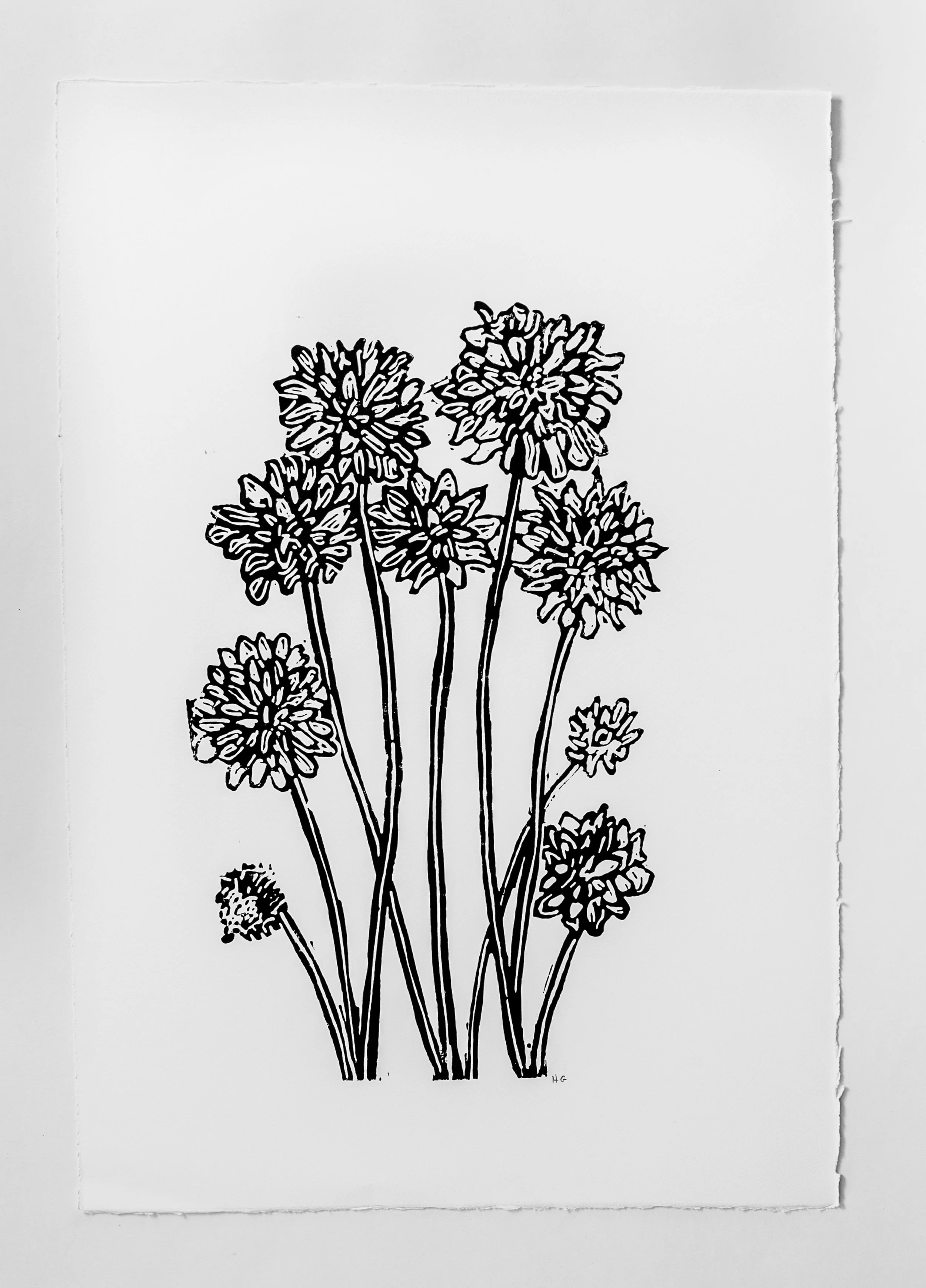Hugo Guinness Chrysanthemum