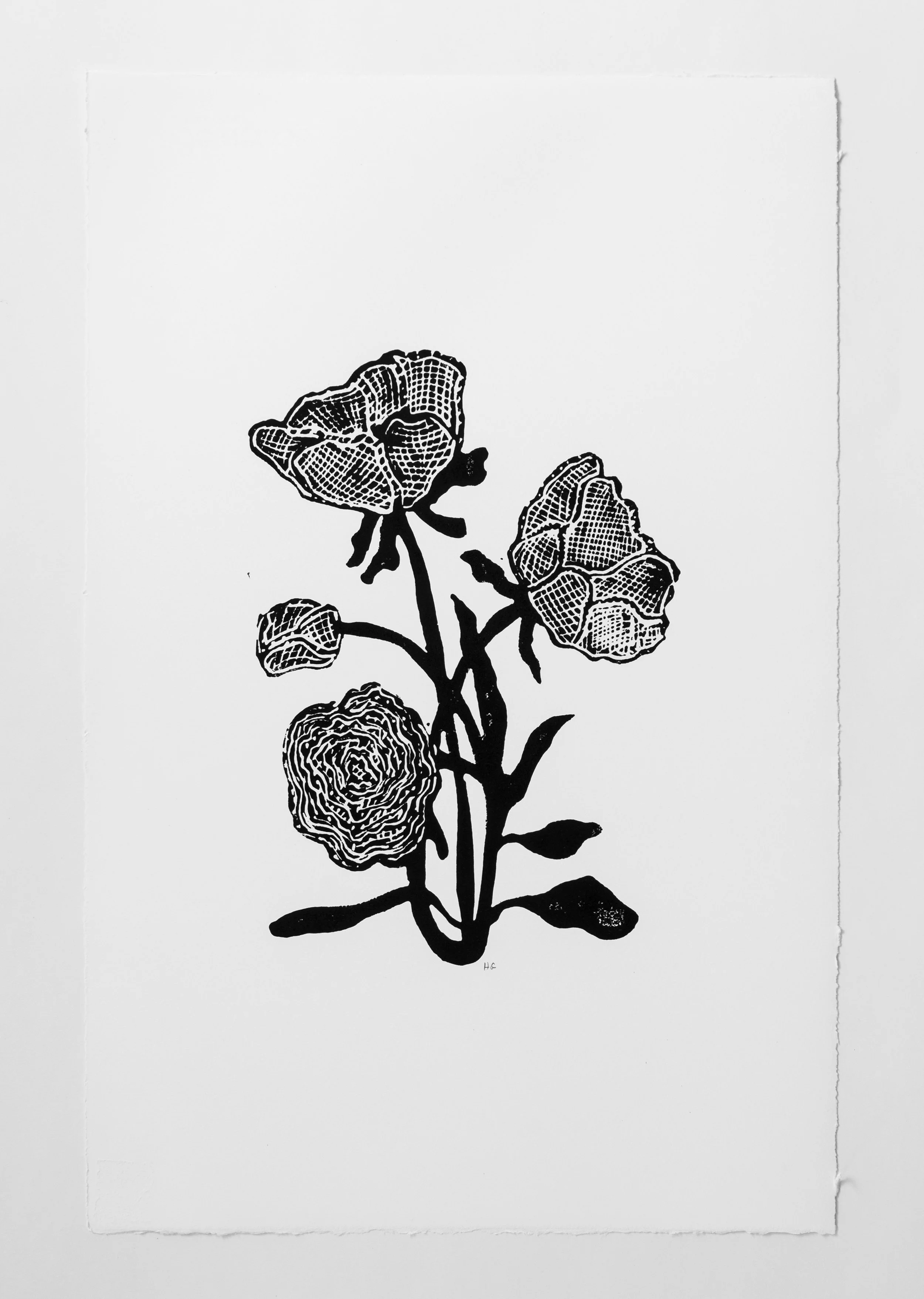 Hugo Guinness Gothic Rose
