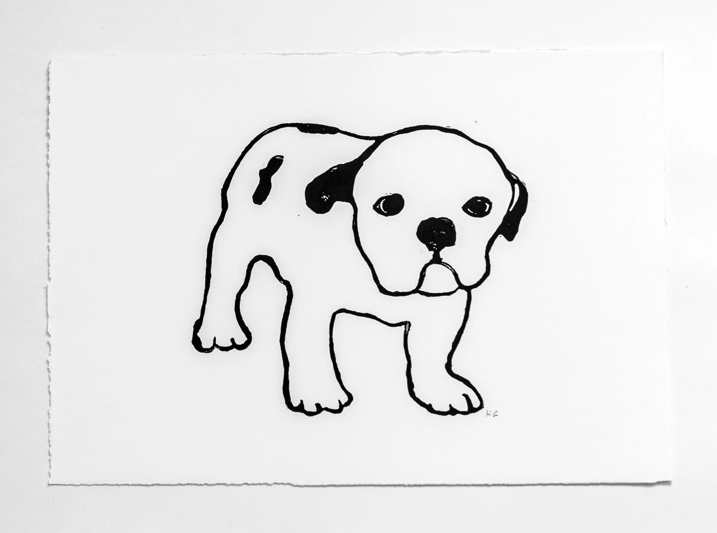 Hugo Guinness Bulldog Puppy
