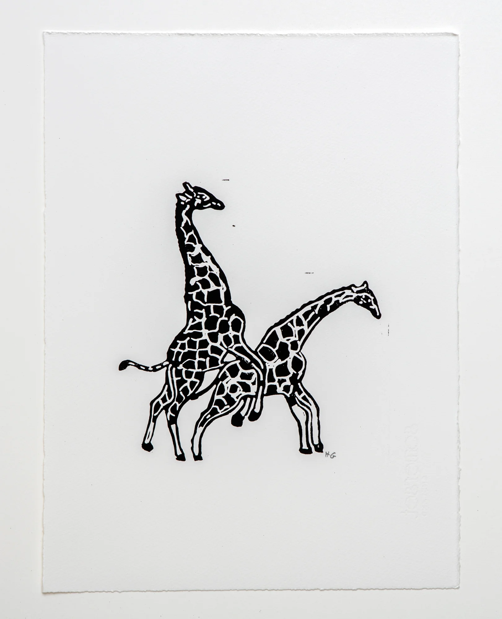 GiraffesHumping.jpg