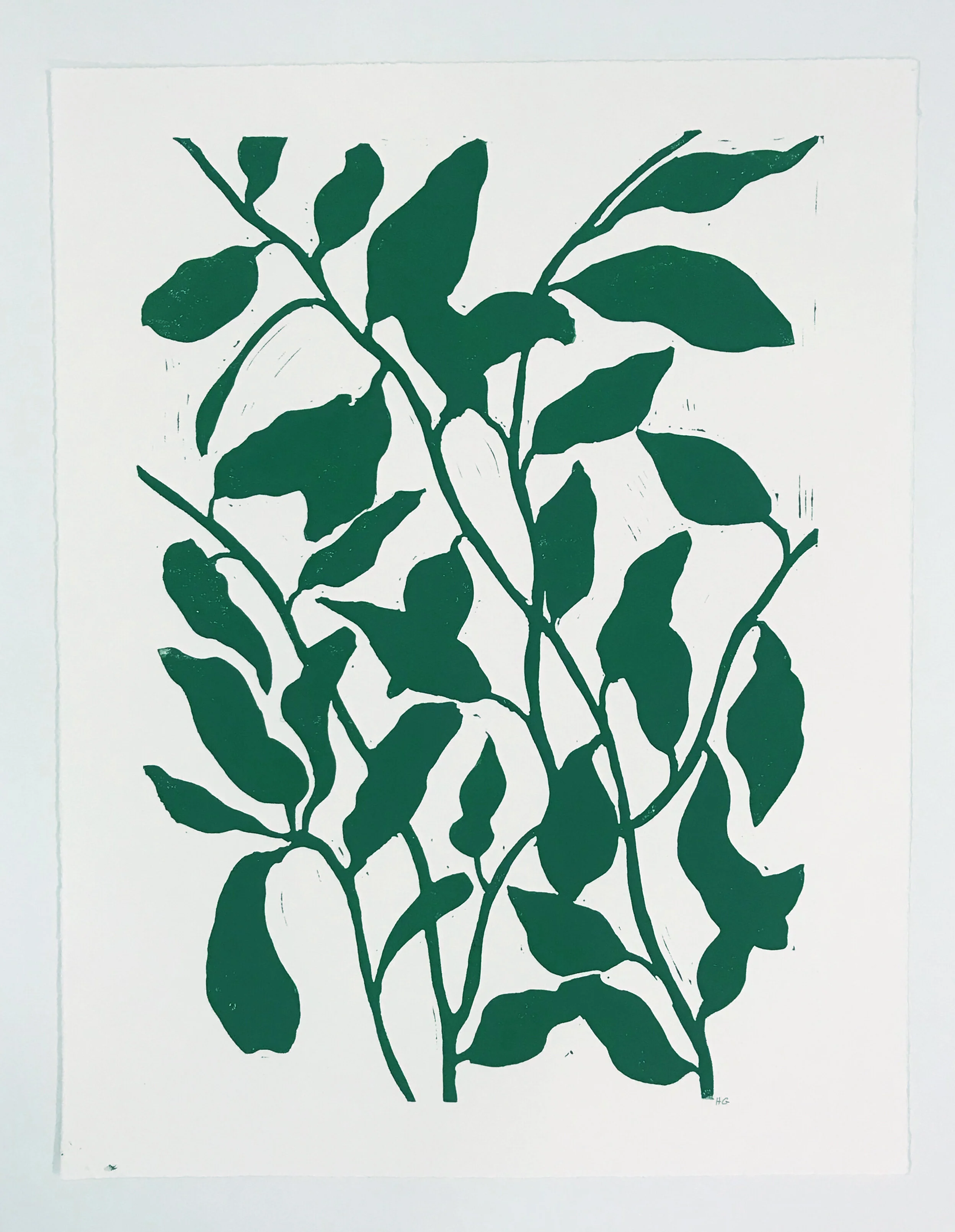 GreenHousePlant4.jpg