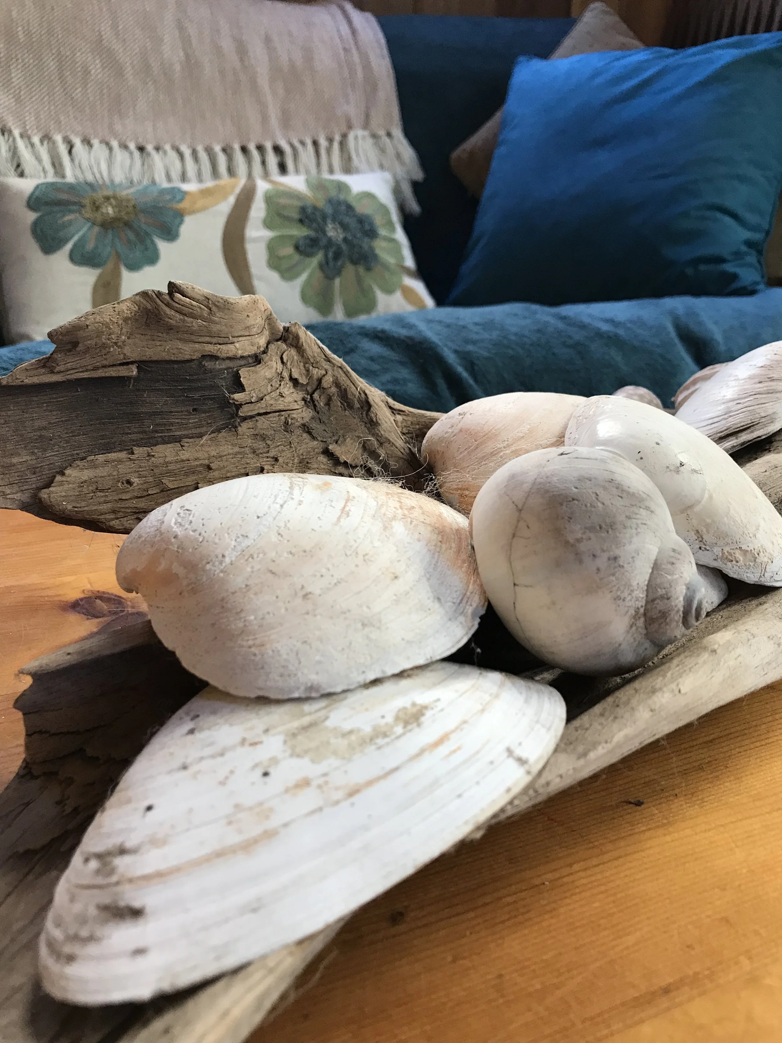 Find Serenity this Summer (tips for Pitta)