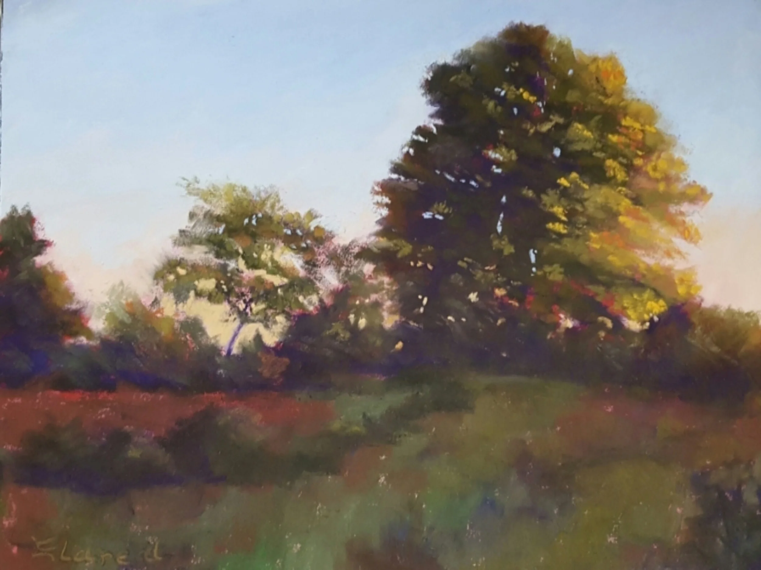 Mary Ann Eldred