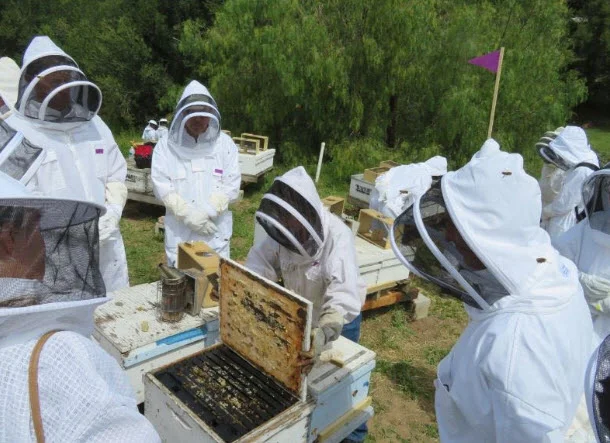 Beekeeping Class 101.jpg