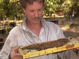 Randy oliver - scientific beekeeping