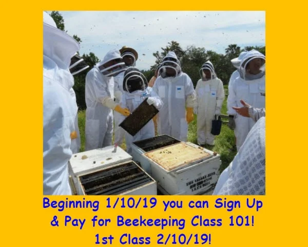beekeeping class blog.jpg
