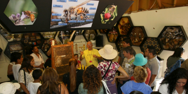 kodua galieti’s exquisite honey bee photography on the walls of the La county fair bee booth.