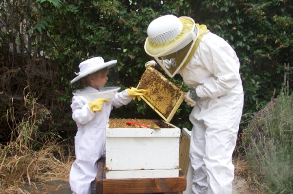 learning about bees and what goes on inside a hive. (photo: kodua Galieti)