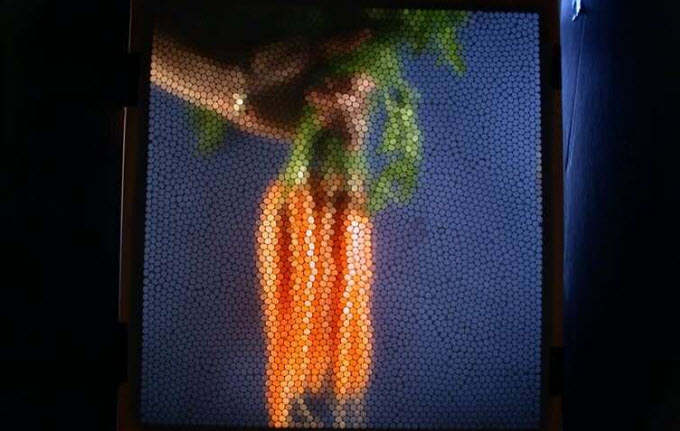 Looking at the fruits and vegetables of bee pollination; a bee camera eye view of carrots. Credit: Sue Williams and Adrian Dyer/RMIT University