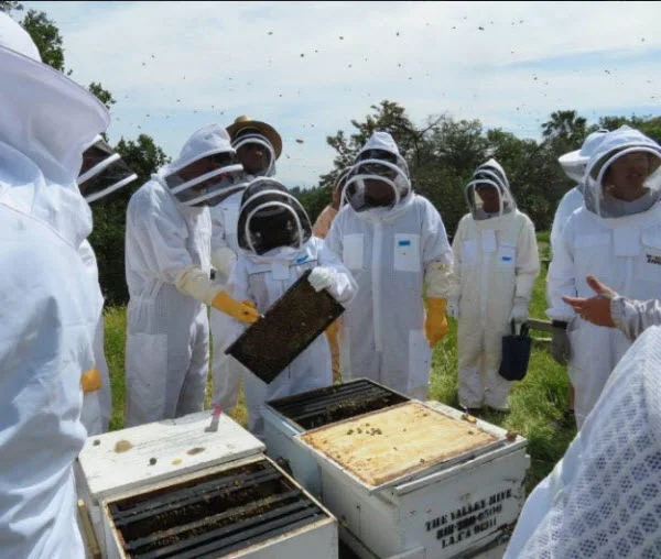 LACBA Beekeeping Class 101.jpg