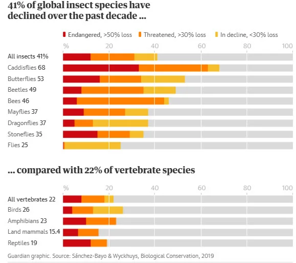 global insects.jpg