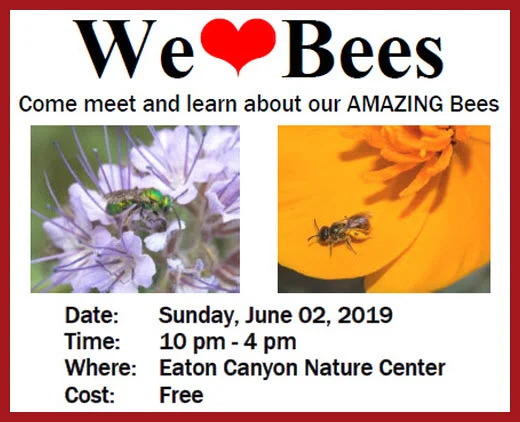 We Love Bees post 2.jpg