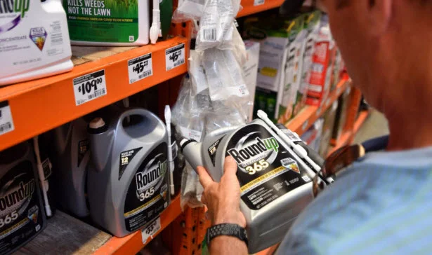 Monsanto's Roundup at a store in San Rafael, California. The product's manufacturer maintains that glyphosate is safe when used as directed.JOSH EDELSON/AFP/ GETTY IMAGES