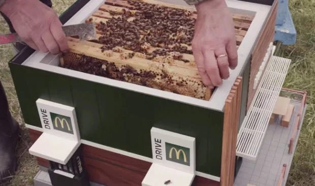 McDonald's has opened its smallest restaurant - which is actually a beehive. Credit: NORDDDB