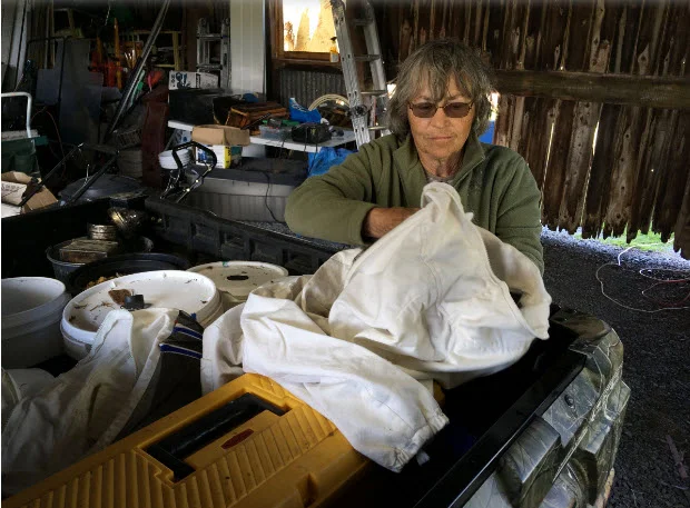 Beekeeper Nancy Cole prepares her protective clothing before going out to her hives at her property near Yarker. (Elliot Ferguson/The Whig-Standard)