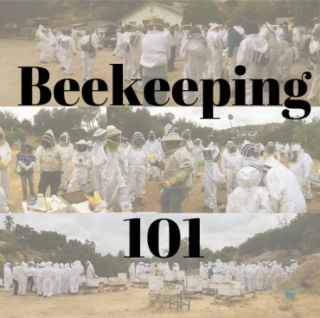 beekeeping class 101 register post.jpg