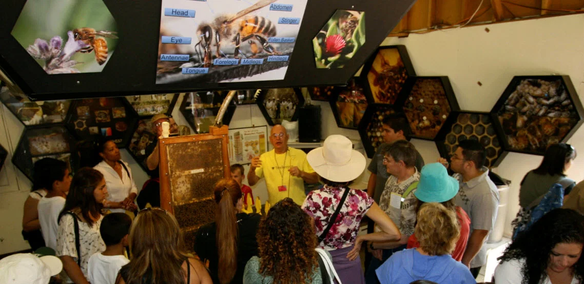 Learn about bees, find the queen, pick up some raw local honey from Los Angeles County beekeepers.