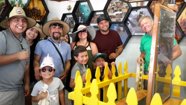 fair goers hive Jeff.jpg