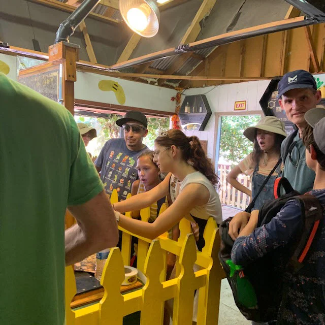 princess and fair goers and hive.jpg