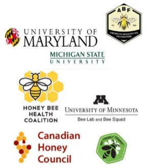 univ of maryland michigan state.jpg