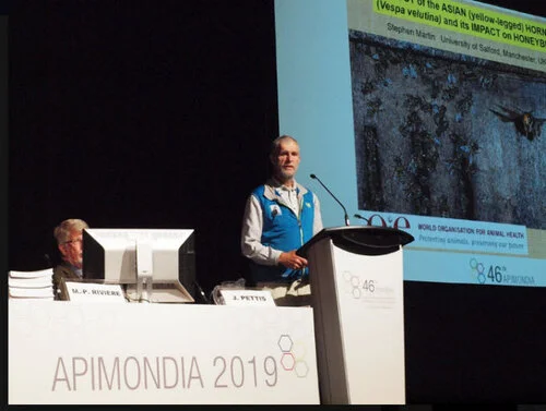 Prof. Stephen Martin (Salford University, UK) talking about Asian hornet biology at the OIE (World Organisation for Animal Health) symposium at Apimondia 2019 at Montréal, Canada