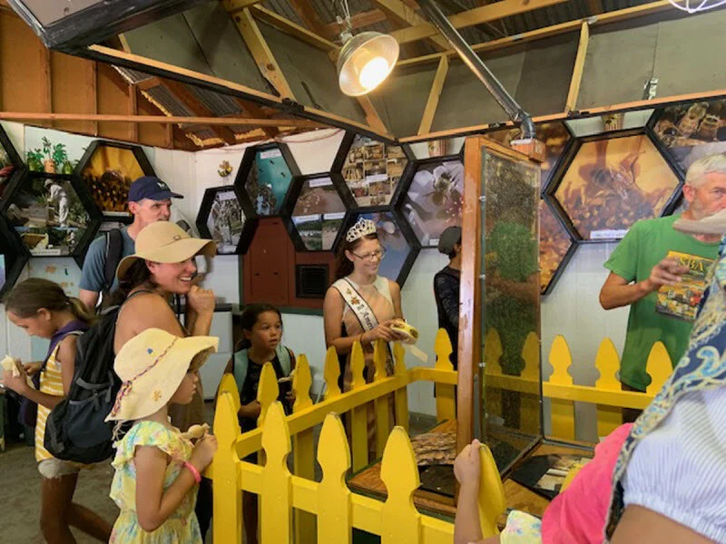 Fair goers enjoy listening to Nicole Medina, the 2019 American Honey Princess, share her experience and knowledge about honey bees at the LA County Fair Bee Booth.