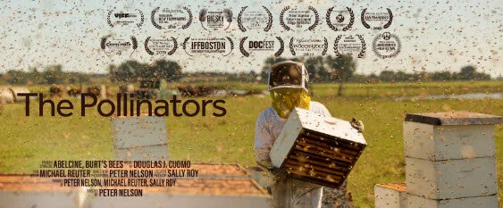 The Pollinators.jpg