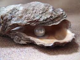 What is a Cultured Pearl?