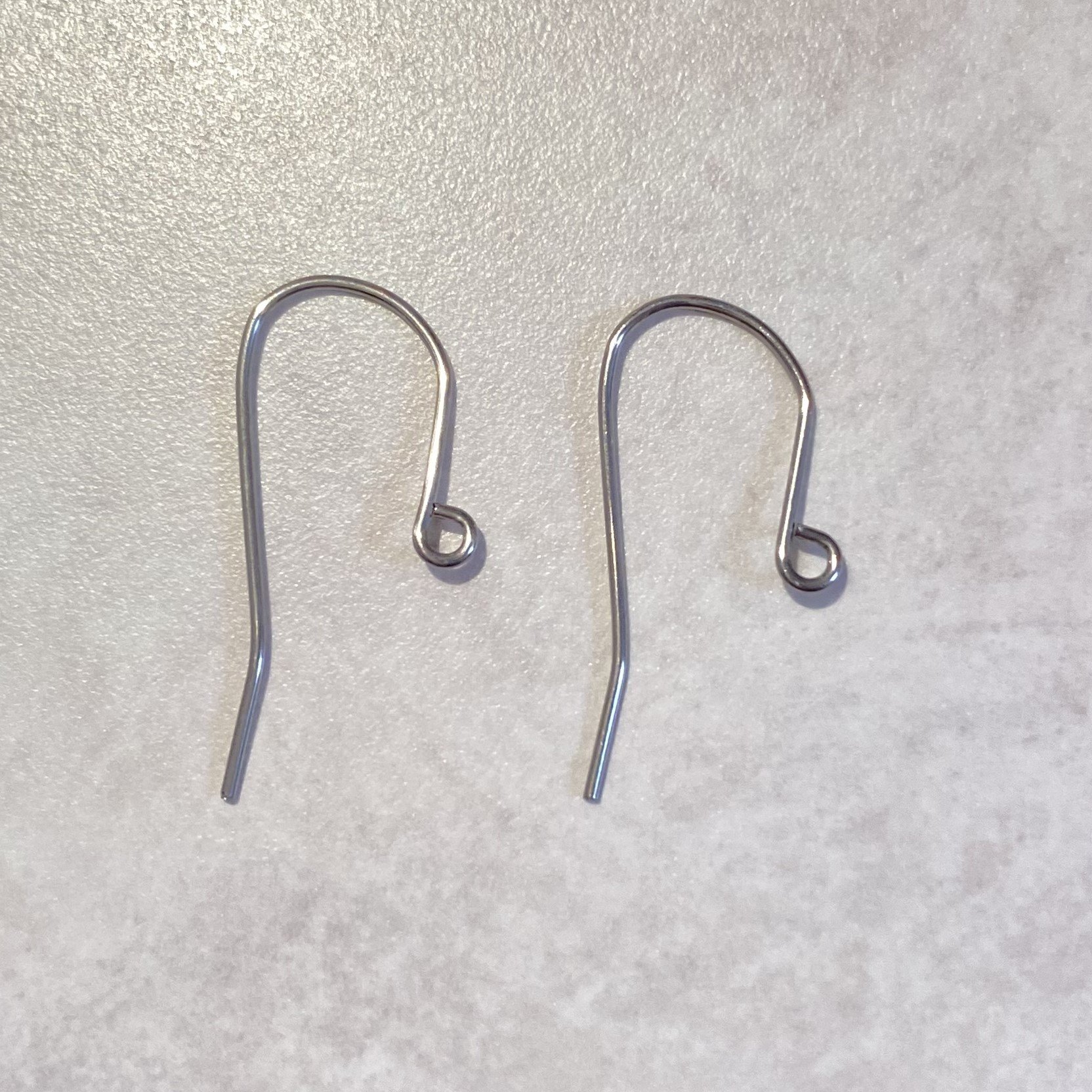 Stainless Ear Wires