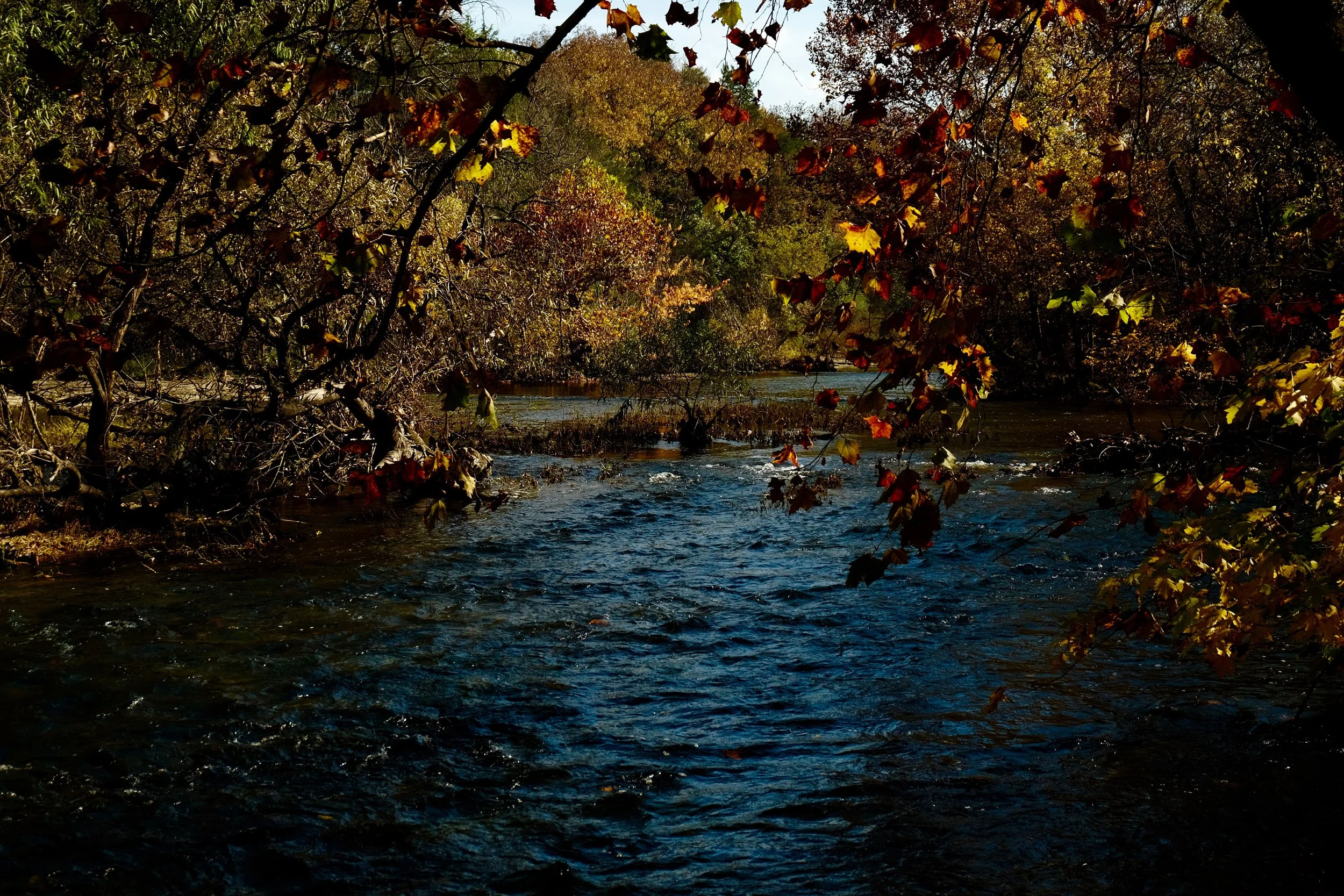 DSCF3277.jpg