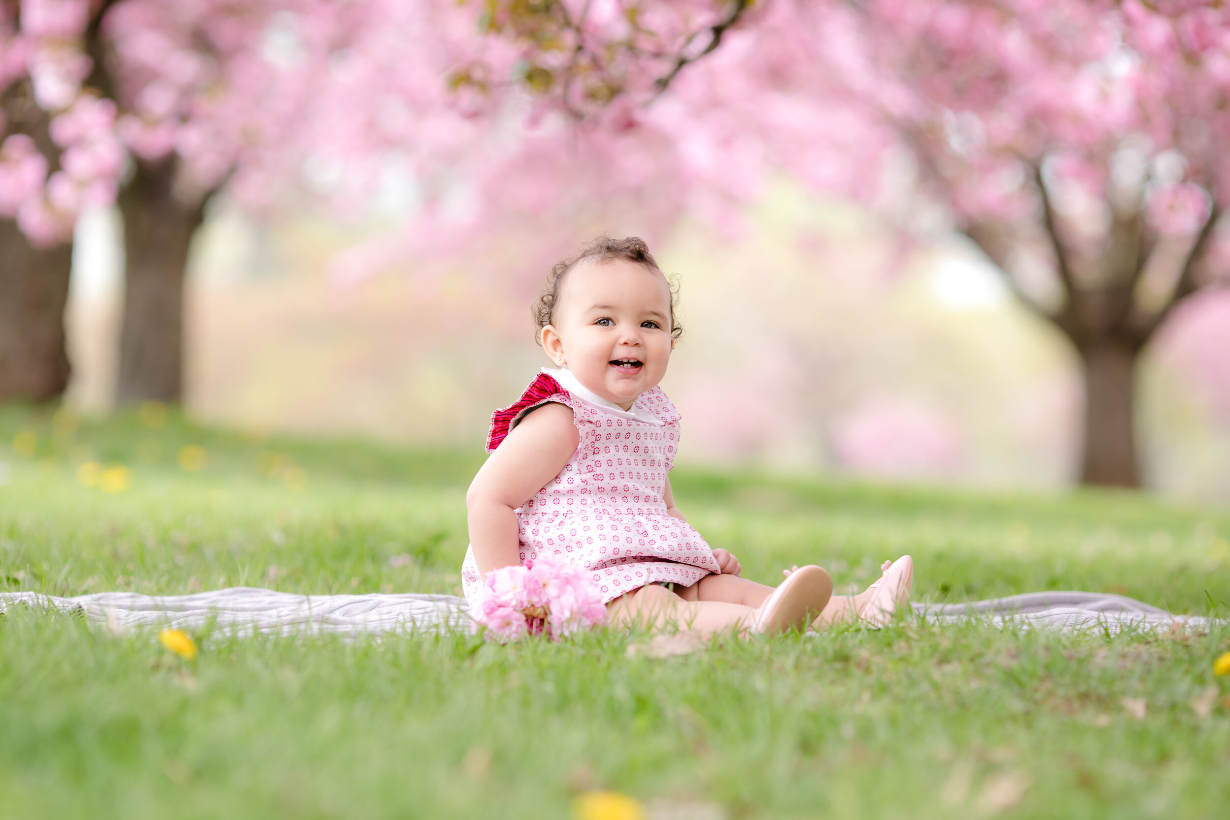 Cherry Blossom_Ashlei-9.jpg