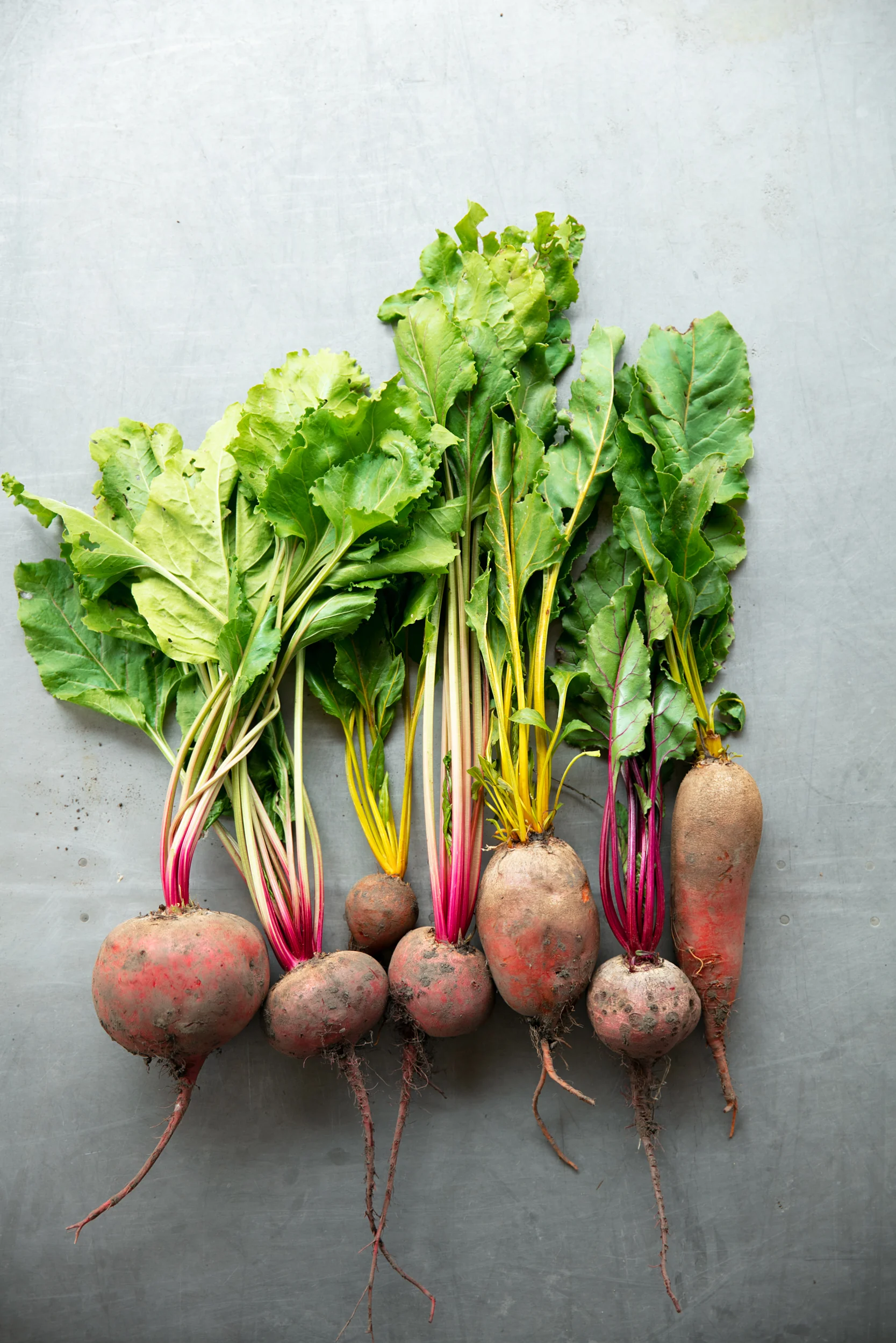 Fresh-Run-Farm-mdx-581-fave copy.jpg