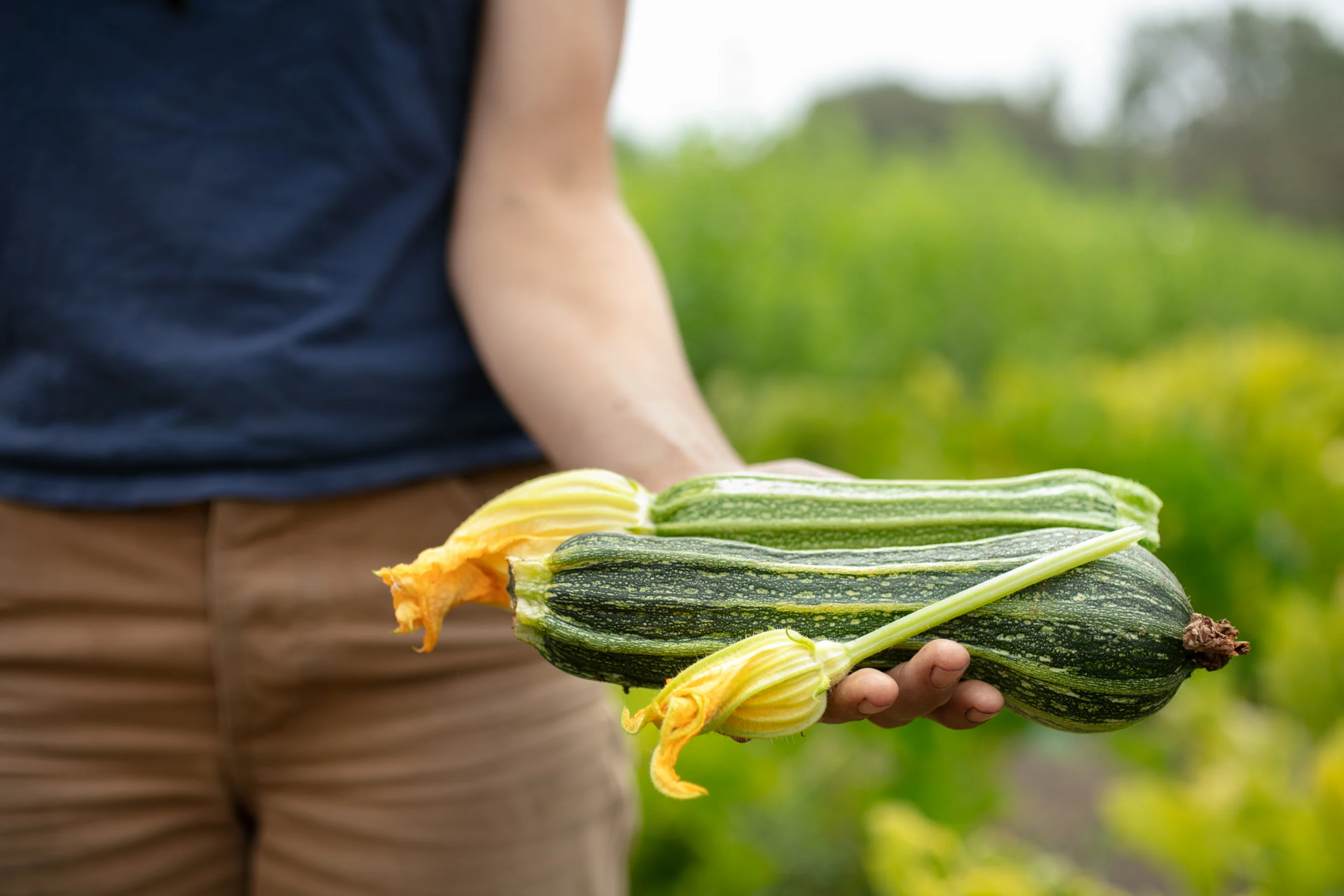 Fresh-Run-Farm-mdx-187-MEDRES-final.jpg